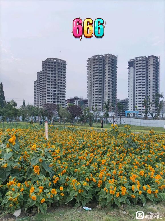 有没有买房买在和悦澜庭的，那里房子怎么样？-1.jpg