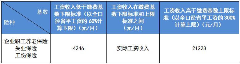 180238dqbky7793jwz6y6w.png