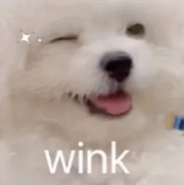 174943xs07rgtqrrr2u2qs.jpeg