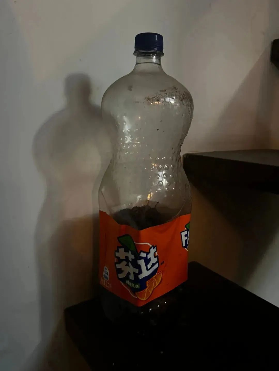 175337z007lvfux64xhxzv.jpeg