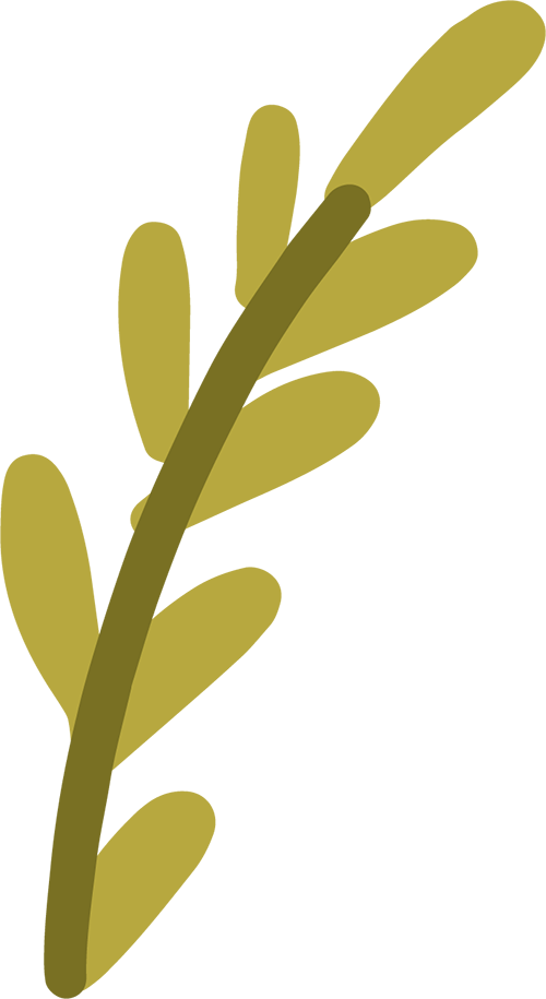 175809q1mv21es51bvcevr.png