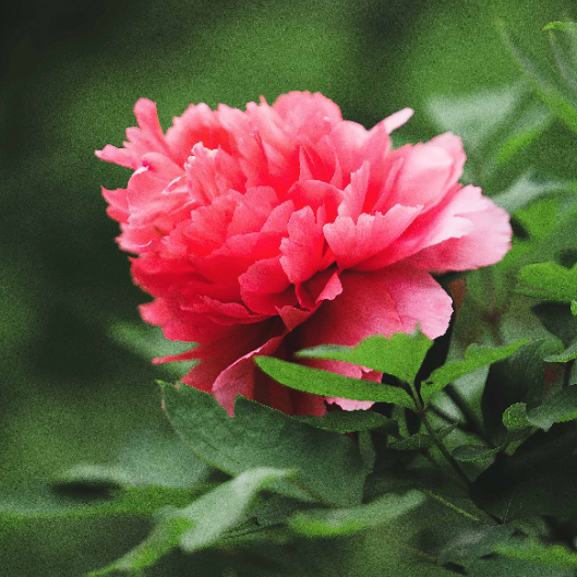 173539eizxsrrlfr7a770f.png