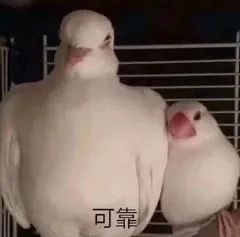 174410te9q8eee666h8e6i.jpeg