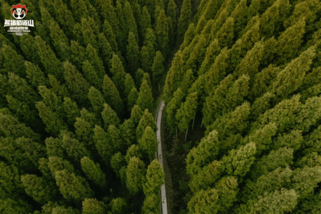 115116h105bqa0zkpw11qx.gif