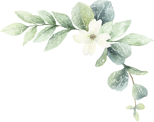 175705qnee6expnzx0x003.png