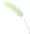 175928dcaopvr9f9xk9art.png