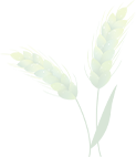 175929ogmd3dak59my5s89.png