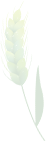 175929ufnxtktr1spstdtg.png