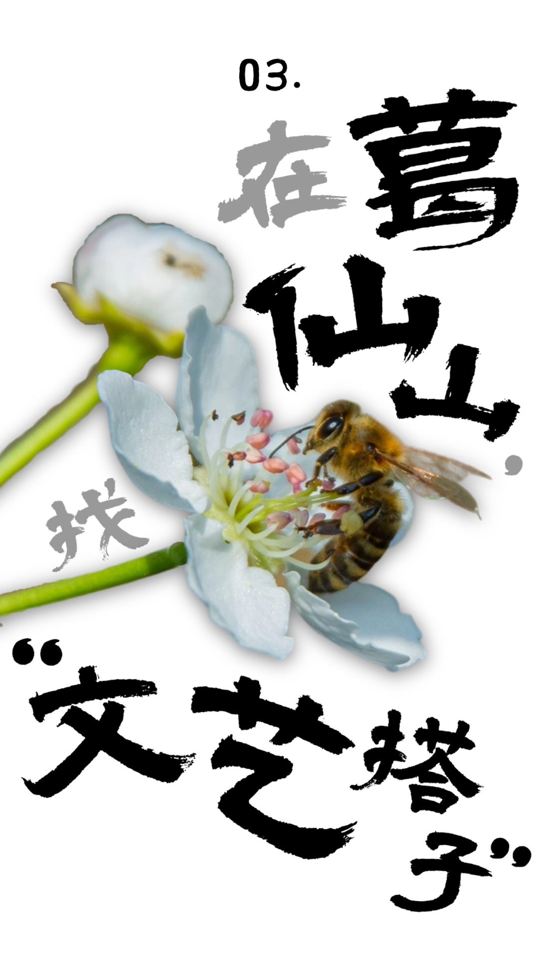 180338mvccu855iuvcicp3.png