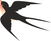 181826l2iwnf2wyr2552z0.png