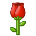144046zwggjjj1jdf4qqpq.png