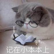 153845up4jvvkp7iv53kcx.png