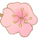 131138tszrvx4q44v4eezf.png