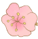 131138vw7ikl9wg77s22ii.png
