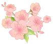 131146z0ph5o35y3i604h0.png