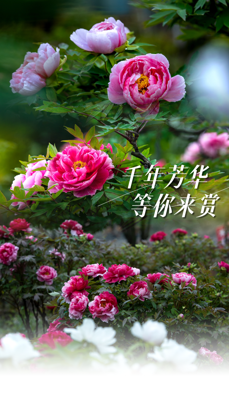 181028kxusa8zsbcgs2c22.png