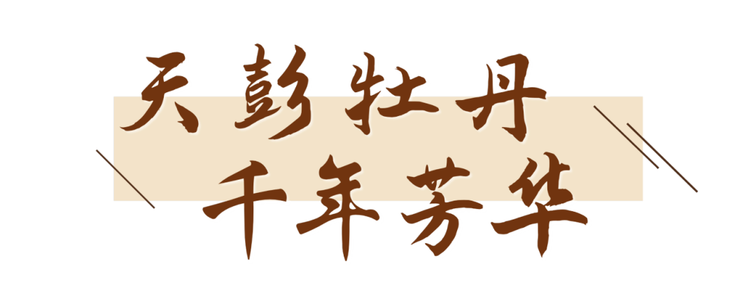 181028lygy82msm13nmuzz.png