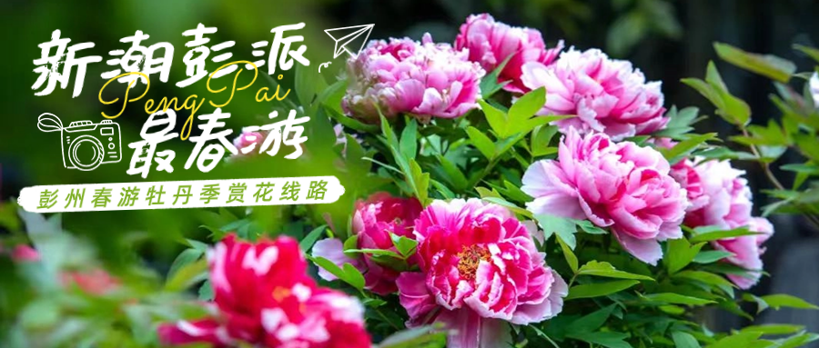 174333f5855pdkzcdh5zw3.png