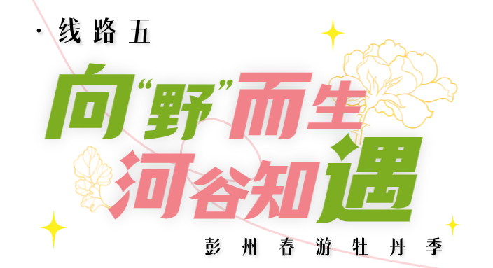 174401j6op74axc666orxt.png
