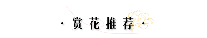 174404fx32dh8lf2n8xaax.png