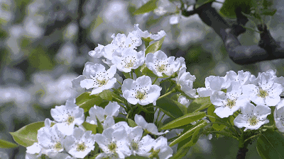 132519sn3kfhb8f3hq37nh.gif