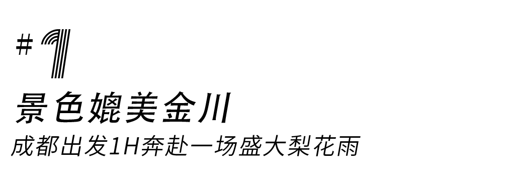 132519uaca1crqin9z2yxz.png