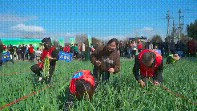 172451scjupcn9mmue2mol.gif