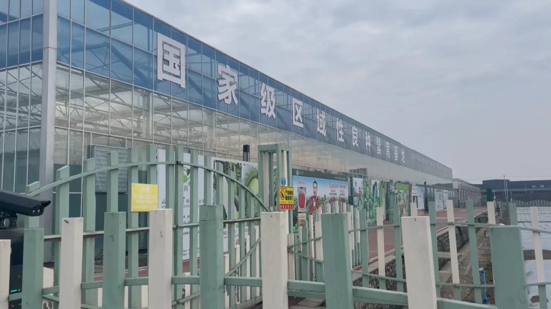 180519mq3fe686166xt828.jpeg