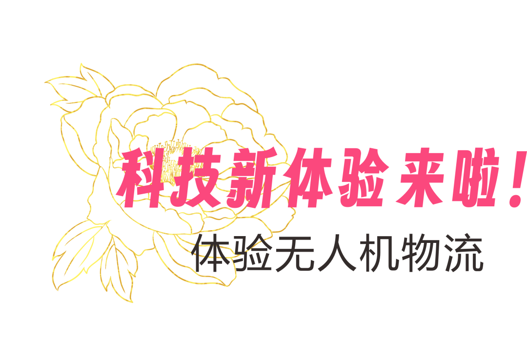141335ca77xl6dsy203y0y.png