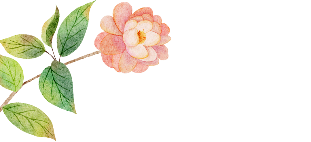 180451y6ymbzd3yreet3cr.png