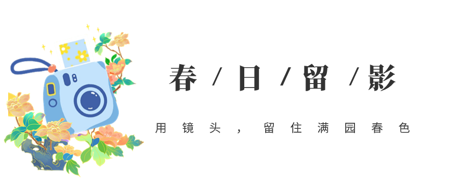 092550x2wtm9rrz9hu9huu.png