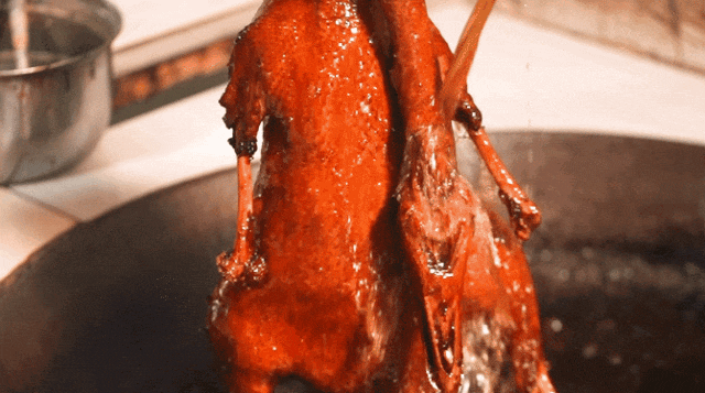 160345ofnnq28fz1l82qjq.gif