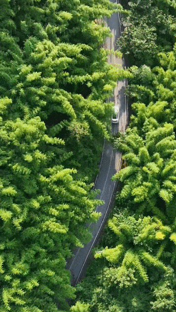 152406mg7hfka0aahgr99k.gif