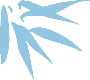 155203ls8bysnali8aynqp.png