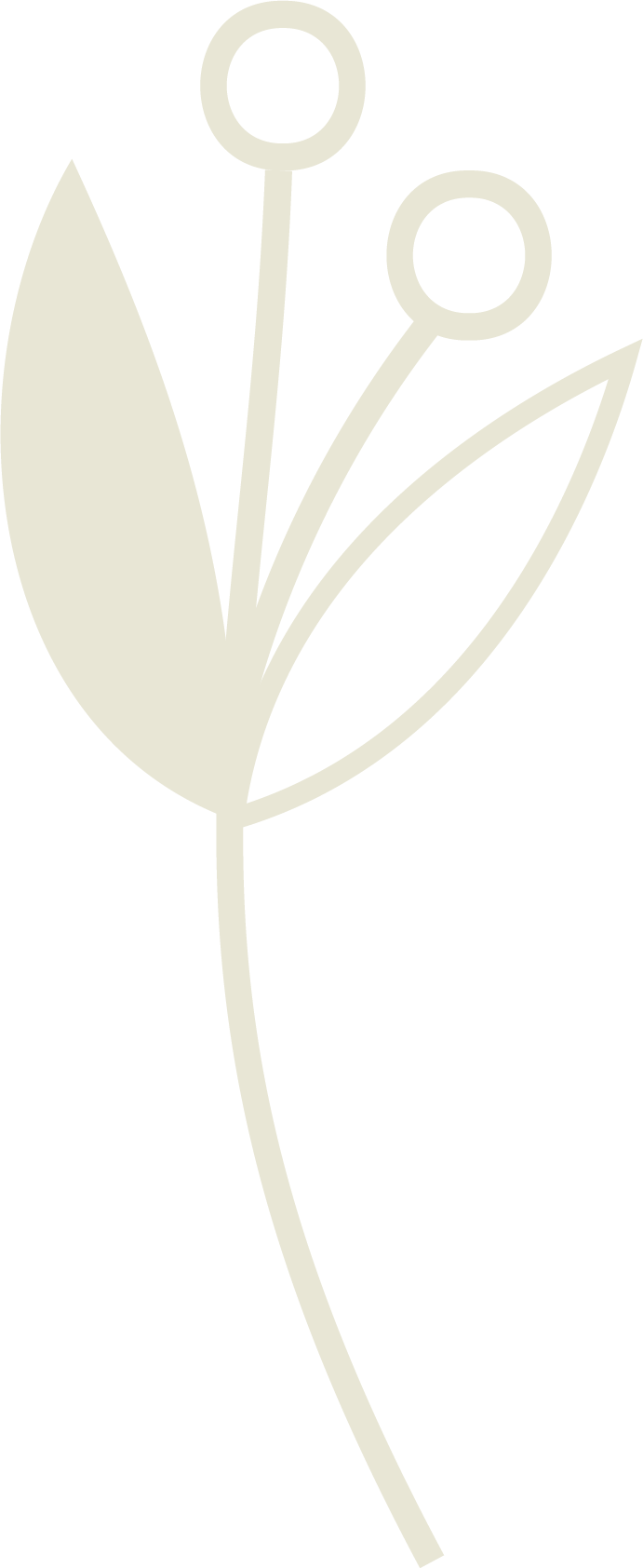 133448g53zixo35xsbxvn6.png