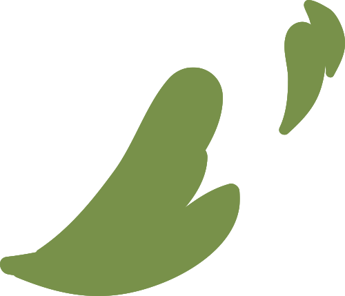 161554s4541tdi44iyo55r.png