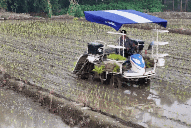 150942qca4y62ggzo4i5th.gif