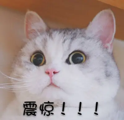 162249aa7blp8hah6nbhp7.png