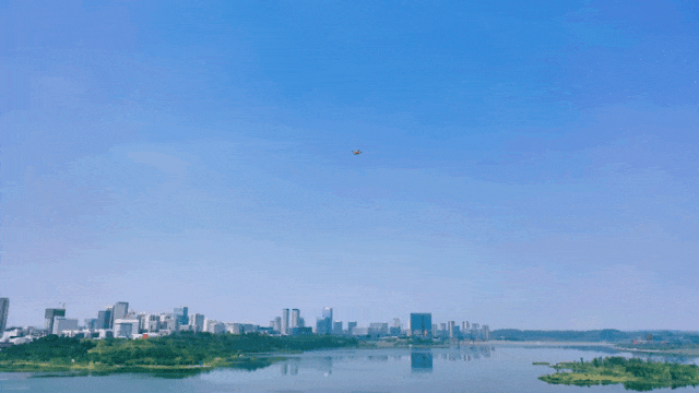 162250zwlafj8vwayh7cq8.gif