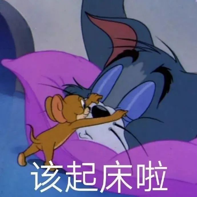 151242ogzboajrbwboa6ao.jpeg