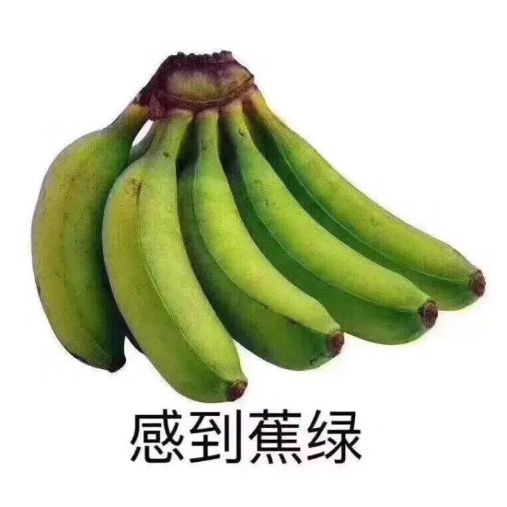 151242z69xly9046gn0n4x.jpeg