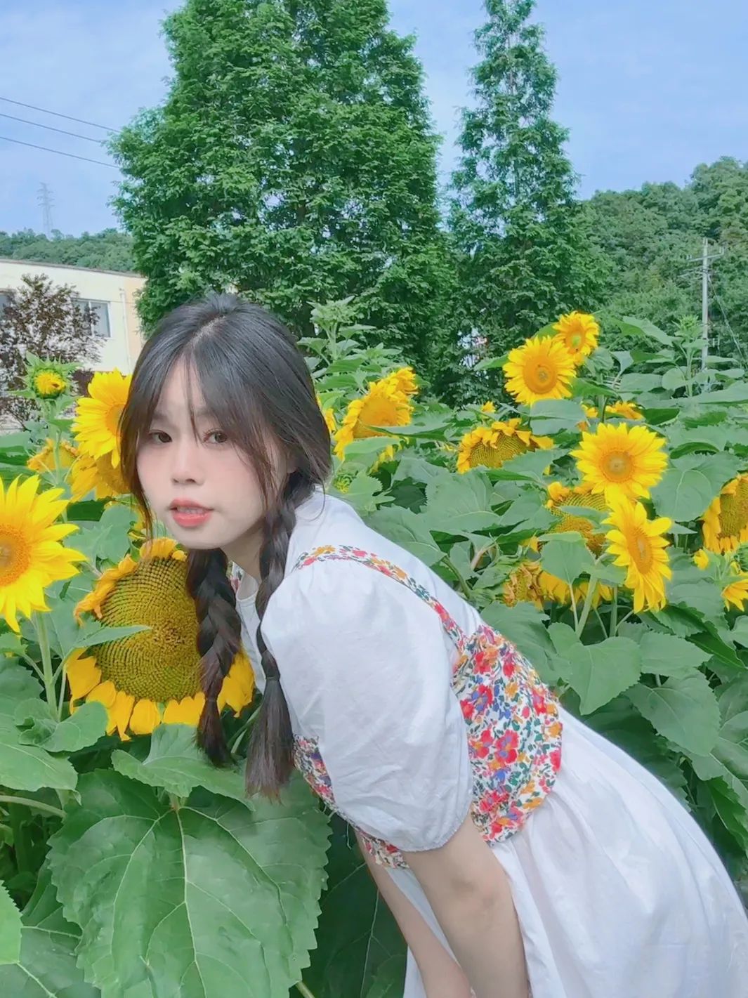 103445q33zn9cm3fyflnz9.jpeg