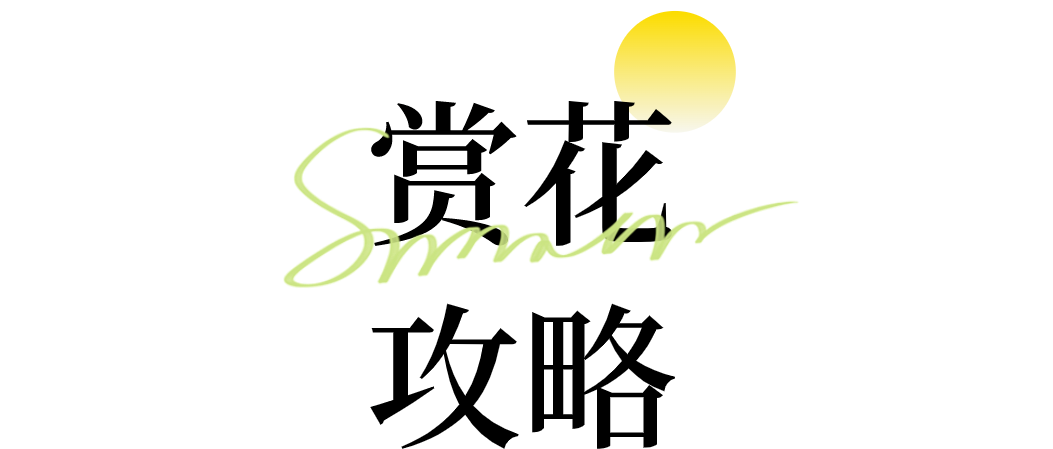 103445x48x2508x2u0534m.png