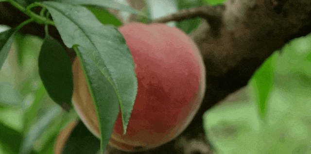 110743i8d4madl30yb3zcz.gif