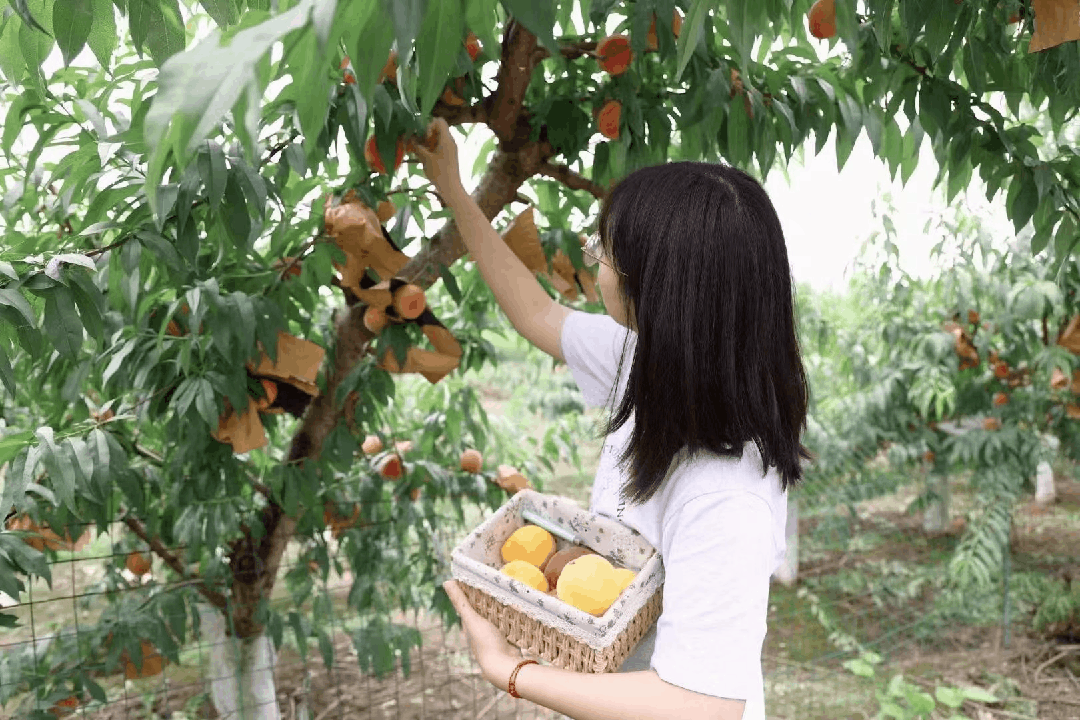 110744jmz2x36n8tvchuu2.gif