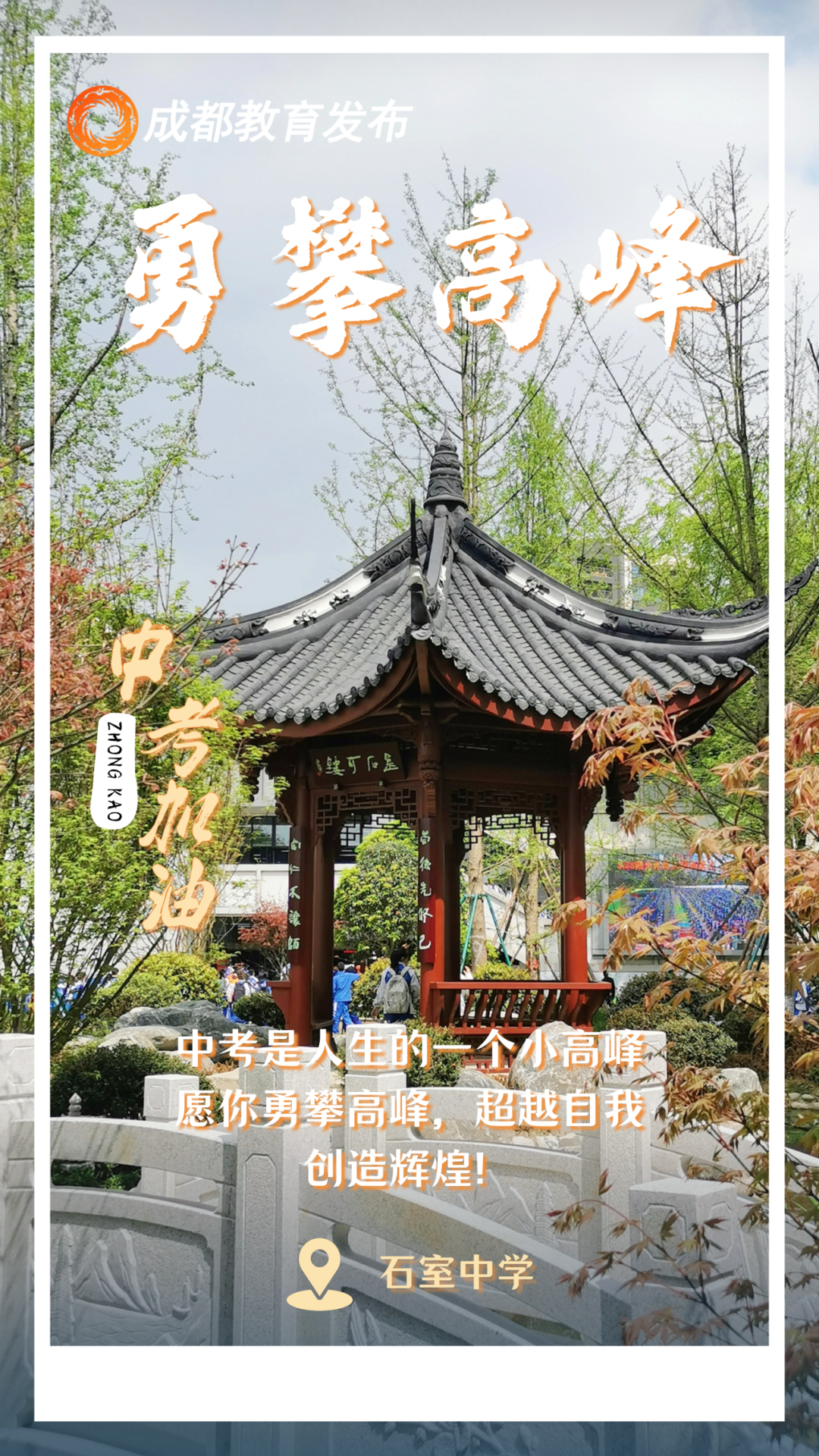 131253kmf78fzxcsxoqc65.png