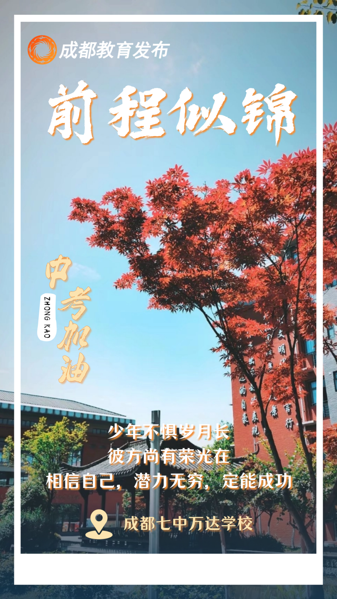 131253svi9jvvpqgol4lv8.png