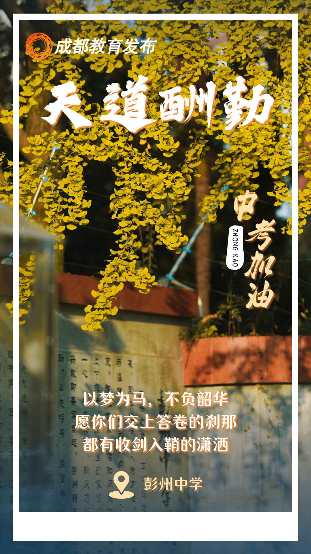 131256i7dwo4odqrzdqkzd.png