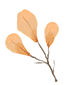 144240p2cbppppfwwezgpl.gif