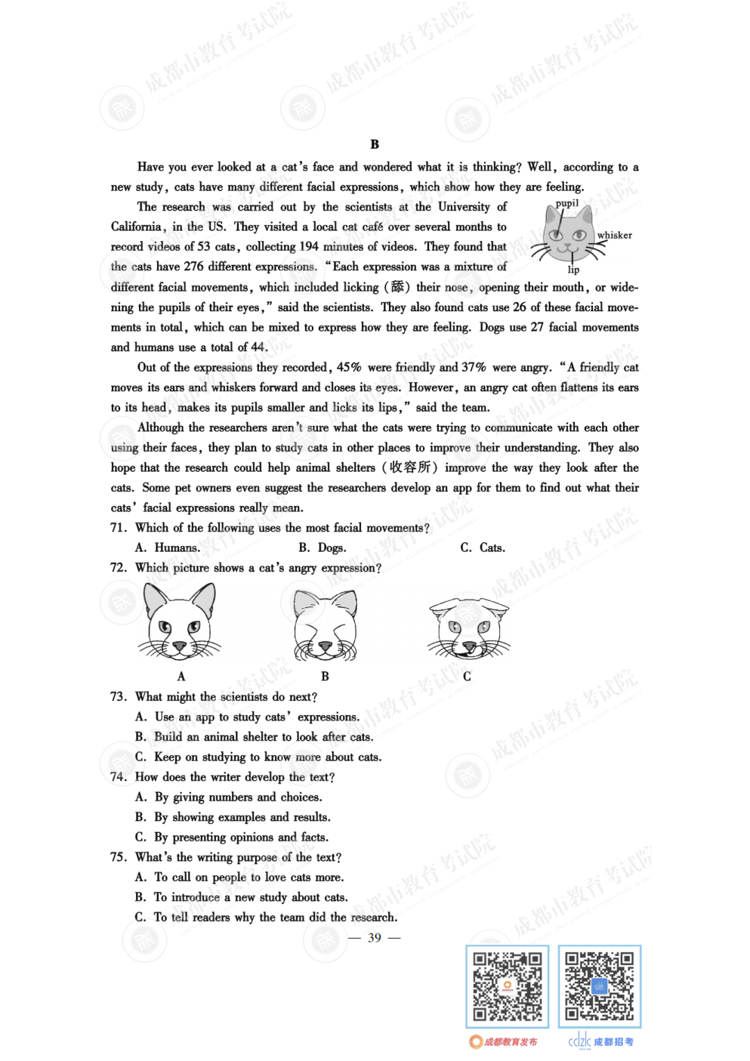 145942z5bw5abbb017iqxw.png